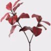 Artificial Plant 30*30*115cm Leaf *2 single stem/17 lvs GS-72725023-R1 2025Jun 3,000+ sqm showroom with thousands of artificial flowers, plants & trees ready for global sourcing.