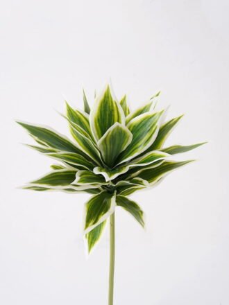 Artificial Plant 24*24*60cm Leaf bush GS-72725008-G4 2025Jun 3,000+ sqm showroom with thousands of artificial flowers, plants & trees ready for global sourcing.
