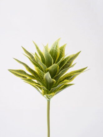 Artificial Plant 25*25*50cm Leaf *5 bush GS-72725009 2025Jun 3,000+ sqm showroom with thousands of artificial flowers, plants & trees ready for global sourcing.