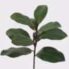 Artificial Plant 22*22*56cm Leaf  single stem/10 lvs GS-72725024 2025Jun 3,000+ sqm showroom with thousands of artificial flowers, plants & trees ready for global sourcing.
