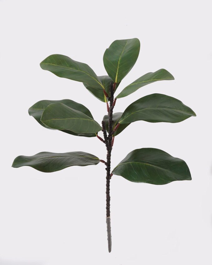 Artificial Plant 22*22*56cm Leaf  single stem/10 lvs GS-72725024 2025Jun 3,000+ sqm showroom with thousands of artificial flowers, plants & trees ready for global sourcing.