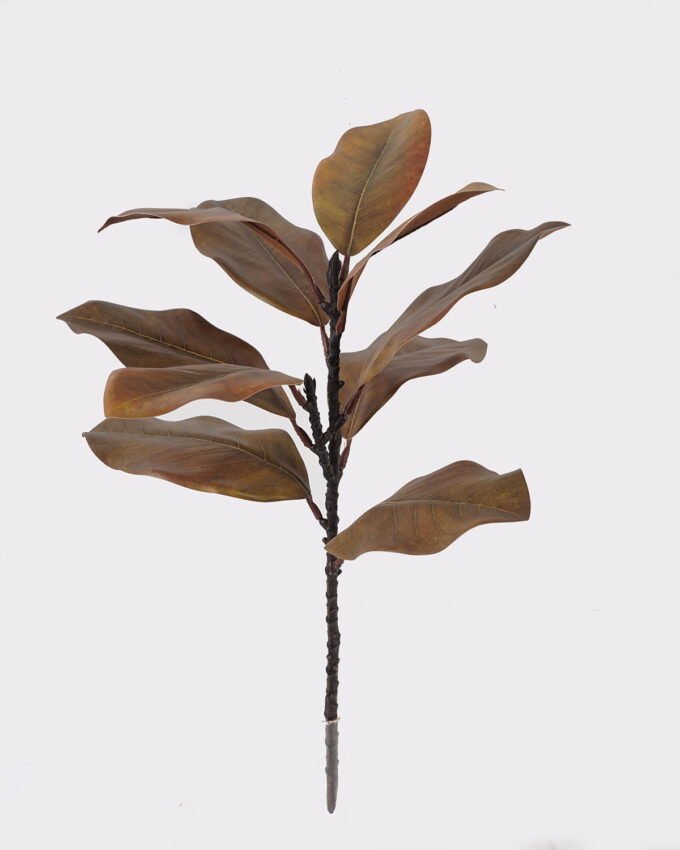 Artificial Plant 22*22*56cm Leaf  single stem/10 lvs GS-72725024 2025Jun 3,000+ sqm showroom with thousands of artificial flowers, plants & trees ready for global sourcing.