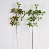 Artificial Plant 19*19*74cm Leaf  single stem GS-51625017 2025May YeahFlower is one of Chinese leading OEM manufacturers and exporters , supplying the silk flowers, wholesale artificial trees