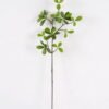 Artificial Plant 19*19*74cm Leaf  single stem GS-51625017 2025May YeahFlower is one of Chinese leading OEM manufacturers and exporters , supplying the silk flowers, wholesale artificial trees