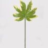 Artificial Plant 26*26*50cm Leaf single stem GS-78825007-G3 2025Jun YeahFlower is one of Chinese leading OEM manufacturers and exporters , supplying the silk flowers, wholesale artificial trees