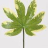Artificial Plant 26*26*50cm Leaf single stem GS-78825007-G3 2025Jun YeahFlower is one of Chinese leading OEM manufacturers and exporters , supplying the silk flowers, wholesale artificial trees