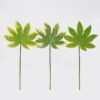 Artificial Plant 26*26*50cm Leaf single stem GS-78825007 2025Jun 3,000+ sqm showroom with thousands of artificial flowers, plants & trees ready for global sourcing.