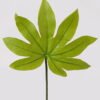 Artificial Plant 26*26*50cm Leaf single stem GS-78825007 2025Jun 3,000+ sqm showroom with thousands of artificial flowers, plants & trees ready for global sourcing.
