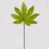 Artificial Plant 26*26*50cm Leaf single stem GS-78825007 2025Jun 3,000+ sqm showroom with thousands of artificial flowers, plants & trees ready for global sourcing.