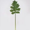 Artificial Plant 30*30*96cm Monstera single stem GS-78825018 2025Jun YeahFlower is one of Chinese leading OEM manufacturers and exporters , supplying the silk flowers, wholesale artificial trees
