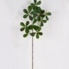 Artificial Plant Pittosporum tobira single stem GS-51625014 Artificial Plant 25*25*74cm Pittosporum tobira single stem GS-51625014 2025May YeahFlower is one of Chinese leading OEM manufacturers and exporters , supplying the silk flowers, wholesale artificial trees