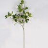 Artificial Plant Pittosporum tobira single stem GS-51625015 Artificial Plant 23*23*81cm Pittosporum tobira single stem GS-51625015 2025May YeahFlower is one of Chinese leading OEM manufacturers and exporters , supplying the silk flowers, wholesale artificial trees
