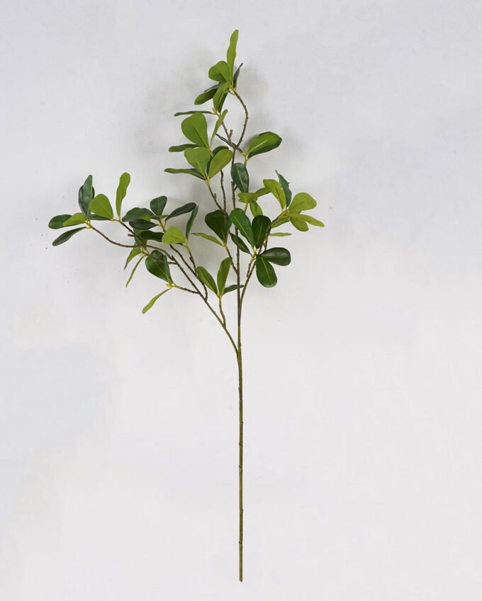 Artificial Plant Pittosporum tobira single stem GS-51625015 Artificial Plant 23*23*81cm Pittosporum tobira single stem GS-51625015 2025May YeahFlower is one of Chinese leading OEM manufacturers and exporters , supplying the silk flowers, wholesale artificial trees