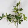 Artificial-Plant-Pittosporum-tobira-single-stem-GS-51625015_1-1.jpg Artificial Plant 23*23*81cm Pittosporum tobira single stem GS-51625015 2025May YeahFlower is one of Chinese leading OEM manufacturers and exporters , supplying the silk flowers, wholesale artificial trees