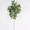 Artificial Plant Pittosporum tobira single stem GS-51625016 Artificial Plant 25*25*88cm Pittosporum tobira single stem GS-51625016 2025May YeahFlower is one of Chinese leading OEM manufacturers and exporters , supplying the silk flowers, wholesale artificial trees