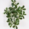 Artificial Plant Pittosporum tobira single stem GS-51625016_1 Artificial Plant 25*25*88cm Pittosporum tobira single stem GS-51625016 2025May YeahFlower is one of Chinese leading OEM manufacturers and exporters , supplying the silk flowers, wholesale artificial trees
