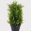 Artificial Plant Tree in PP pot GS-51724036_8 Artificial Plant 17*17*36cm Tree in PP pot GS-51724036 2025May YeahFlower is one of Chinese leading OEM manufacturers and exporters , supplying the silk flowers, wholesale artificial trees