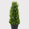 Artificial Plant 20*20*50cm Tree in PP pot GS-51724040 2025May YeahFlower is one of Chinese leading OEM manufacturers and exporters , supplying the silk flowers, wholesale artificial trees