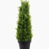 Artificial Plant 22*22*67cm Tree in PP pot GS-51724044 2025May YeahFlower is one of Chinese leading OEM manufacturers and exporters , supplying the silk flowers, wholesale artificial trees