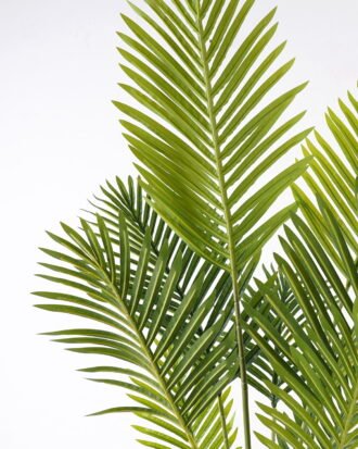 Artificial Tree 65*65*120cm Actinodendron *4 in PP pot/9 lvs GS-29824045KD-R 2025May YeahFlower is one of Chinese leading OEM manufacturers and exporters , supplying the silk flowers, wholesale artificial trees