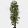 Artificial Tree 60*60*180cm Bamboo *6 in PP pot/1728 lvs GS-69425003 2025Jun YeahFlower is one of Chinese leading OEM manufacturers and exporters , supplying the silk flowers, wholesale artificial trees
