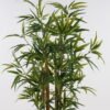 Artificial Tree Bamboo 6 in PP pot 768 lvs GS-69425001_6 Artificial Tree 60*60*120cm Bamboo *6 in PP pot/768 lvs GS-69425001 2025Jun YeahFlower is one of Chinese leading OEM manufacturers and exporters , supplying the silk flowers, wholesale artificial trees