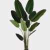 Artificial Tree Sterlitzia 3 in PP pot 13 lvs GS-29824031KD-R_1 Artificial Tree 90*90*180cm Sterlitzia *3 in PP pot/13 lvs GS-29824031KD-R 2025May YeahFlower is one of Chinese leading OEM manufacturers and exporters , supplying the silk flowers, wholesale artificial trees