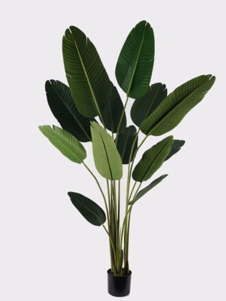 Artificial Tree 65*65*120cm Sterlitzia in PP pot/8 lvs GS-29824029KD-R 2025May 3,000+ sqm showroom with thousands of artificial flowers, plants & trees ready for global sourcing.