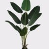 Artificial Tree 85*85*160cm Sterlitzia in PP pot/10 lvs GS-29824020KD-R 2025May 3,000+ sqm showroom with thousands of artificial flowers, plants & trees ready for global sourcing.