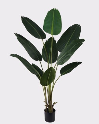 Artificial Tree 85*85*160cm Sterlitzia in PP pot/10 lvs GS-29824020KD-R 2025May YeahFlower is one of Chinese leading OEM manufacturers and exporters , supplying the silk flowers, wholesale artificial trees