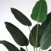 Artificial Tree 85*85*160cm Sterlitzia in PP pot/10 lvs GS-29824020KD-R 2025May 3,000+ sqm showroom with thousands of artificial flowers, plants & trees ready for global sourcing.