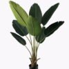 Artificial Tree Sterlitzia in PP pot 8 lvs GS-29824029KD-R_1 Artificial Tree 65*65*120cm Sterlitzia in PP pot/8 lvs GS-29824029KD-R 2025May YeahFlower is one of Chinese leading OEM manufacturers and exporters , supplying the silk flowers, wholesale artificial trees