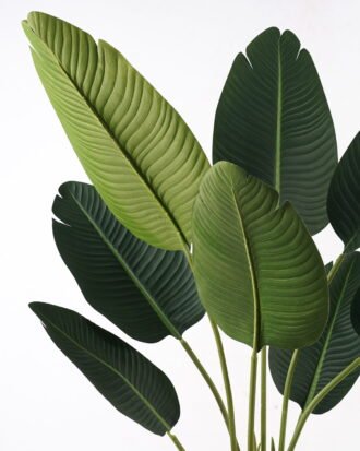 Artificial Tree 65*65*120cm Sterlitzia in PP pot/8 lvs GS-29824029KD-R 2025May YeahFlower is one of Chinese leading OEM manufacturers and exporters , supplying the silk flowers, wholesale artificial trees