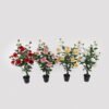Artificial Tree White Rose in PP pot GS-64223010R_1 Artificial Tree 35*35*68cm White Rose in PP pot GS-64223010R 2025May YeahFlower is one of Chinese leading OEM manufacturers and exporters , supplying the silk flowers, wholesale artificial trees