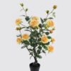 Artificial Tree White Rose in PP pot GS-64223010R_4 Artificial Tree 35*35*68cm White Rose in PP pot GS-64223010R 2025May YeahFlower is one of Chinese leading OEM manufacturers and exporters , supplying the silk flowers, wholesale artificial trees