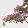Artificial Tree 175*150*200cm bougainvillea speetabilis in pp pot GS-78925004KD 2025Jun YeahFlower is one of Chinese leading OEM manufacturers and exporters , supplying the silk flowers, wholesale artificial trees