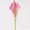 Artificial-Flower-Calla-Lily-single-stem-GS-64925003_8.jpg Artificial Flower 11*11*78cm Calla Lily single stem GS-64925003 2025May YeahFlower is one of Chinese leading OEM manufacturers and exporters , supplying the silk flowers, wholesale artificial trees
