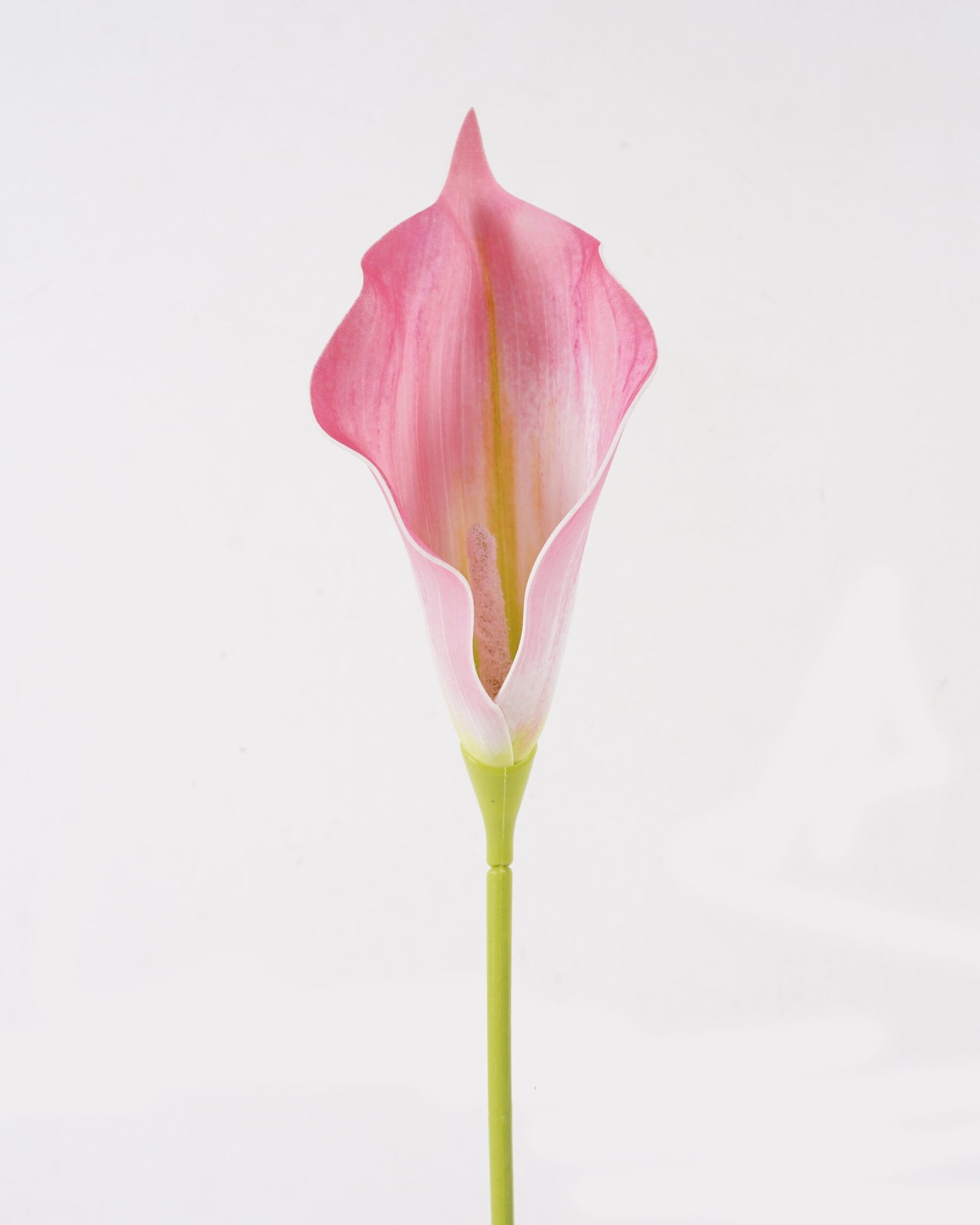 Artificial-Flower-Calla-Lily-single-stem-GS-64925003_8.jpg Artificial Flower 11*11*78cm Calla Lily single stem GS-64925003 2025May YeahFlower is one of Chinese leading OEM manufacturers and exporters , supplying the silk flowers, wholesale artificial trees