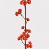 Artificial Branch fruit 12*12*88cm Hawthorn single stem GS-79725015 2025SEP YeahFlower is one of Chinese leading OEM manufacturers and exporters , supplying the silk flowers, wholesale artificial trees
