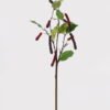 Artificial Branch fruit 23*23*70cm Raspberry single stem GS-79725007 2025SEP YeahFlower is one of Chinese leading OEM manufacturers and exporters , supplying the silk flowers, wholesale artificial trees