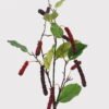 Artificial Branch fruit 23*23*70cm Raspberry single stem GS-79725007 2025SEP YeahFlower is one of Chinese leading OEM manufacturers and exporters , supplying the silk flowers, wholesale artificial trees