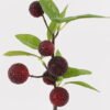 Artificial Branch fruit 10*10*34cm Waxberry single stem GS-79725017 2025SEP YeahFlower is one of Chinese leading OEM manufacturers and exporters , supplying the silk flowers, wholesale artificial trees