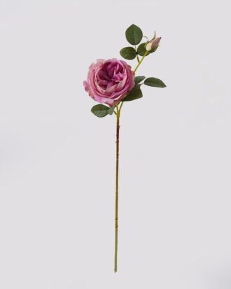 Artificial Flower 14*14*66cm Austin rose *2 single stem(real touch) GS-79225003-Z2
