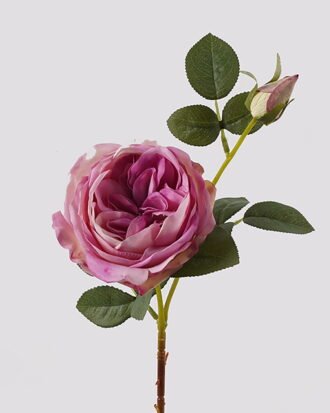 Artificial Flower 14*14*66cm Austin rose *2 single stem(real touch) GS-79225003-Z2 2025SEP YeahFlower is one of Chinese leading OEM manufacturers and exporters , supplying the silk flowers, wholesale artificial trees