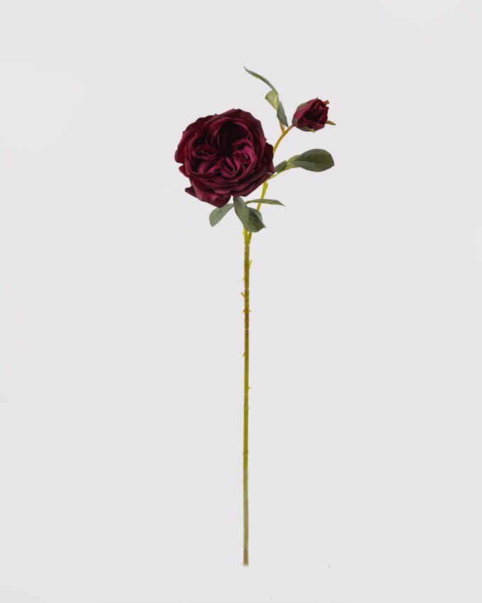 Artificial Flower 14*14*66cm Austin rose *2 single stem(real touch) GS-79225003 2025SEP YeahFlower is one of Chinese leading OEM manufacturers and exporters , supplying the silk flowers, wholesale artificial trees