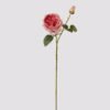 Artificial Flower 14*14*66cm Austin rose *2 single stem(real touch) GS-79225003 2025SEP YeahFlower is one of Chinese leading OEM manufacturers and exporters , supplying the silk flowers, wholesale artificial trees