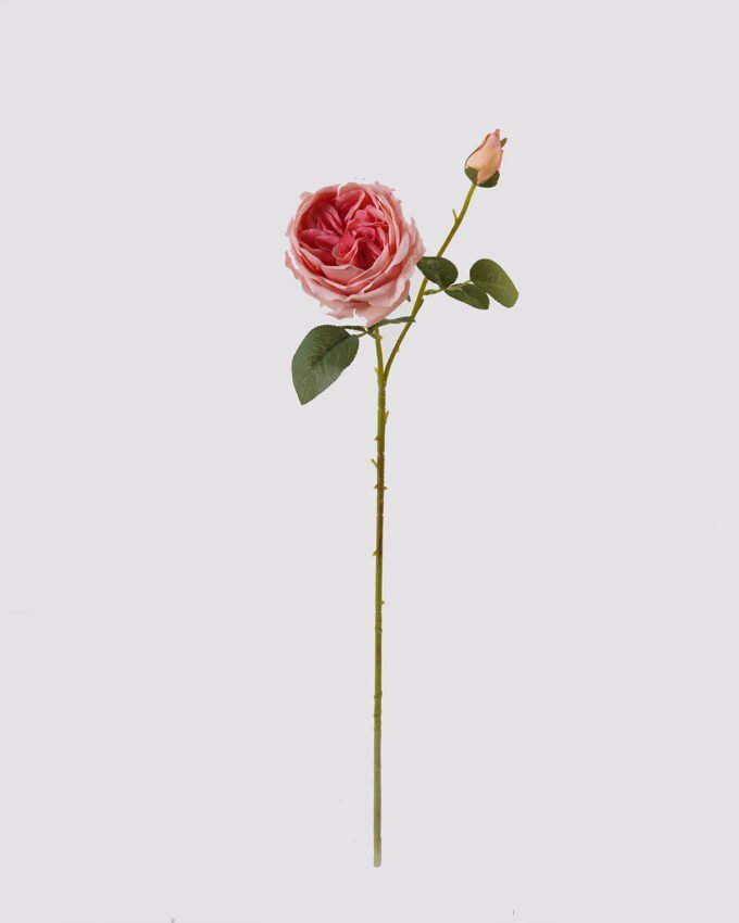 Artificial Flower 14*14*66cm Austin rose *2 single stem(real touch) GS-79225003 2025SEP YeahFlower is one of Chinese leading OEM manufacturers and exporters , supplying the silk flowers, wholesale artificial trees