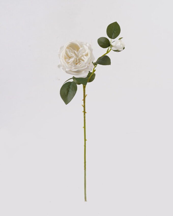 Artificial Flower 14*14*66cm Austin rose *2 single stem(real touch) GS-79225003 2025SEP YeahFlower is one of Chinese leading OEM manufacturers and exporters , supplying the silk flowers, wholesale artificial trees