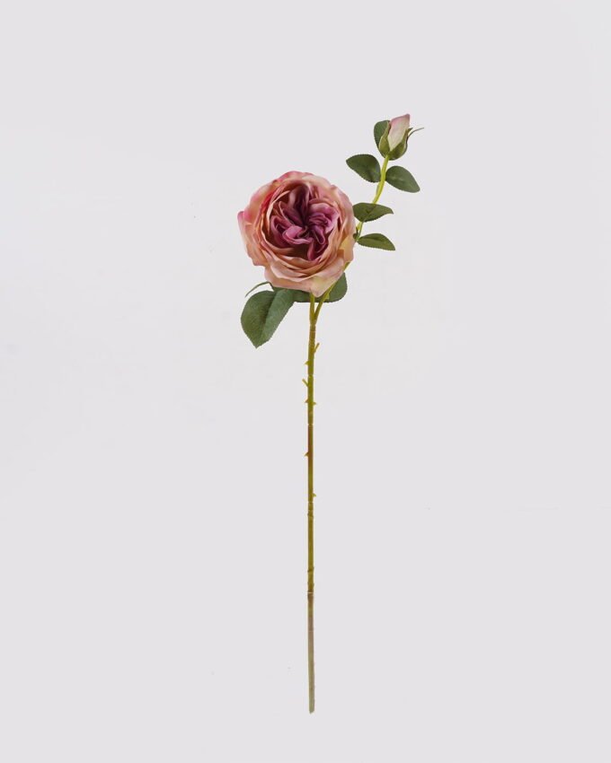 Artificial Flower 14*14*66cm Austin rose *2 single stem(real touch) GS-79225003 2025SEP YeahFlower is one of Chinese leading OEM manufacturers and exporters , supplying the silk flowers, wholesale artificial trees