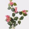 Artificial Flower 37*37*85cm Bougainvillea *3 single stem GS-46725024 2025AUG YeahFlower is one of Chinese leading OEM manufacturers and exporters , supplying the silk flowers, wholesale artificial trees